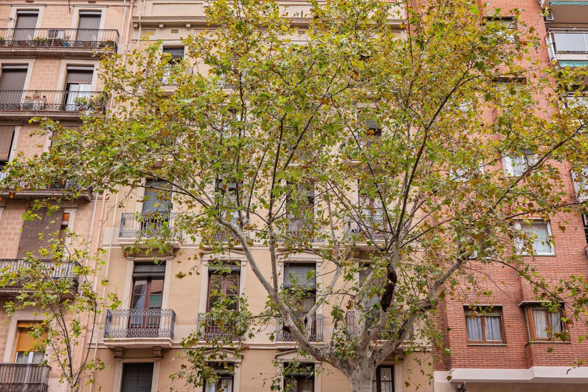 Ferienwohnung Sweett - Urgell Eixample Barcelona Exterior foto